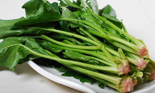 吃菠菜的注意事项