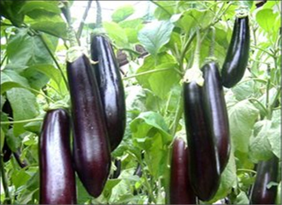 Դ�������л�������ר��