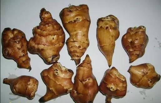 洋姜的功效与作用_洋姜的常见做法_洋姜不能和什么一起吃_哪些人不能