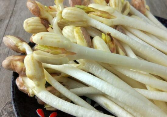 花生芽一斤多少钱