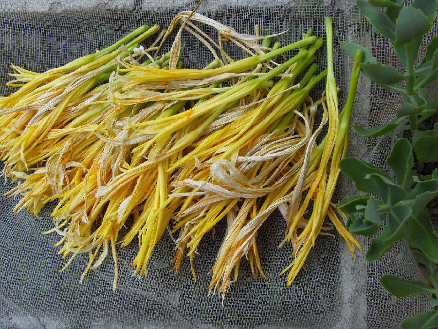 但是新鲜的黄花菜中含有一种叫"秋水仙 碱"的物质,虽然本身没什么毒性