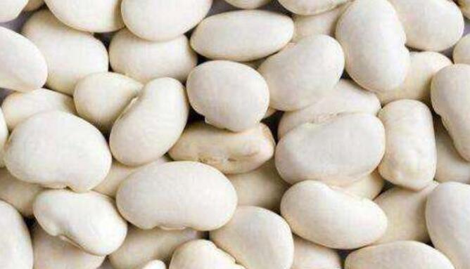 白扁豆