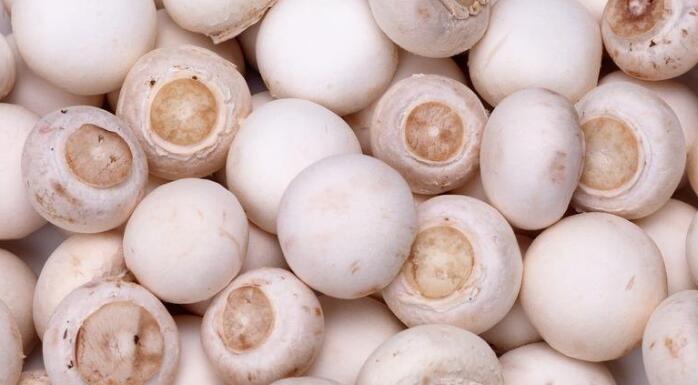 因为白蘑菇中不但含有大量的微量元素 钙元素,还含有一些丰富的维生素