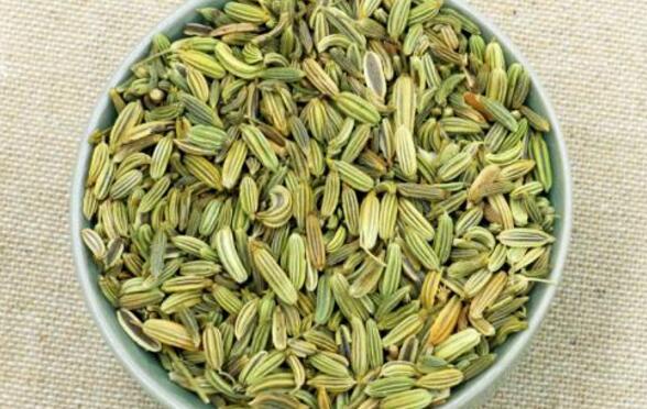 小茴香的功效和作用