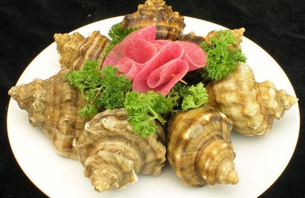 营养价值海螺的体内是非常容易产生细菌和寄生虫,所以我们在食用之前