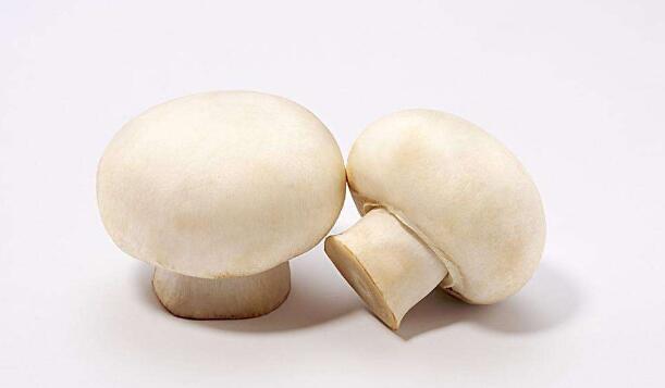 孕妇可以吃白蘑菇吗