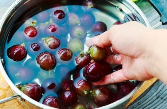 葡萄怎么洗_淀粉可以洗葡萄吗_苹果绿