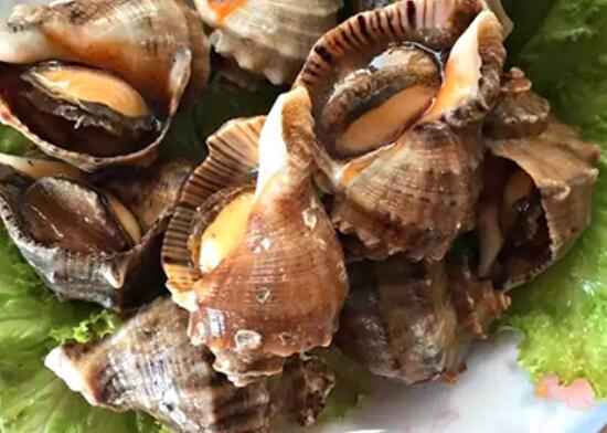 海螺得大脑因为有毒的,因此并不适合食用,所以在清洗的时候需要将海螺