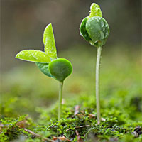 清明节期间养生三要点