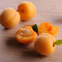 杏子的營養價值