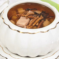 冬虫夏草的食用方法，冬虫夏草怎么吃