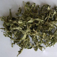 如何正确使用艾叶泡脚