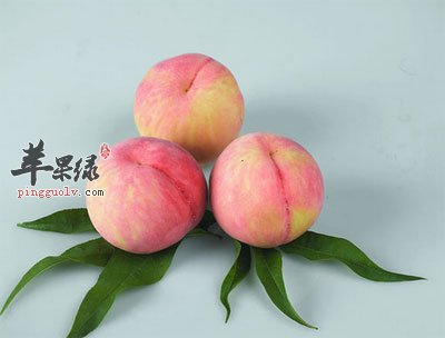 桃子