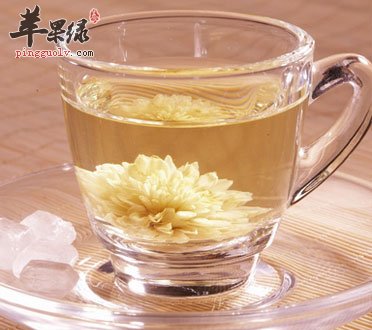 菊花茶