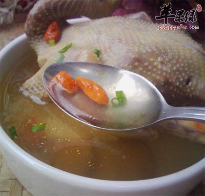 蘋果綠 食材大全 鴿子鴿子湯的做法: 這算是最經典的鴿子湯做法了,將