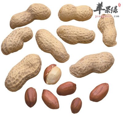 花生