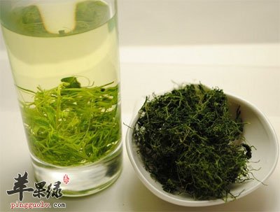 绞股蓝茶