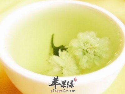 茉莉花茶