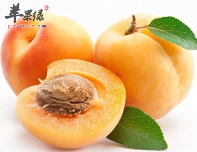 杏子怎么吃 杏子的吃法 苹果绿