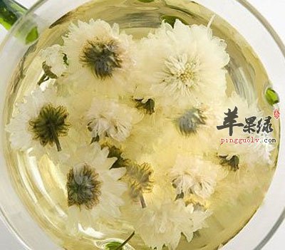 菊花茶