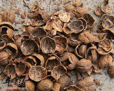 核桃皮的功效与作用