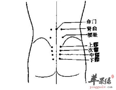 缺乏 能量支撑,容易弯曲变形,周围的 肌肉也会受到影响,引起腰部病变