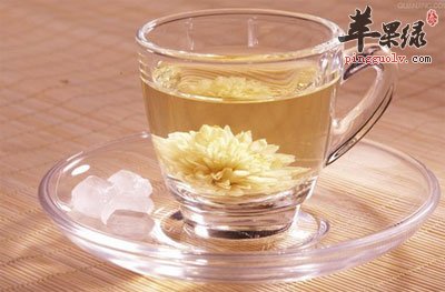 菊花茶