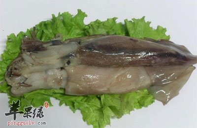 魷魚的營養價值