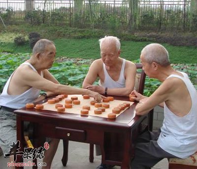 老年人下棋