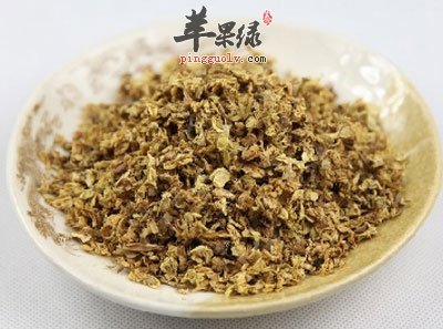 槐花的功效与作用图片(槐花的作用与功效与作用是什么)