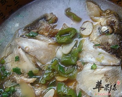 鰱魚的營養價值_鰱魚怎麼做好吃_鰱魚圖片_蘋果綠