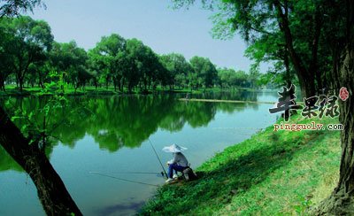 西塞山前白鹭飞什么流水_白鹭飞西塞山前白鹭飞_西塞山前白鹭飞的下一句