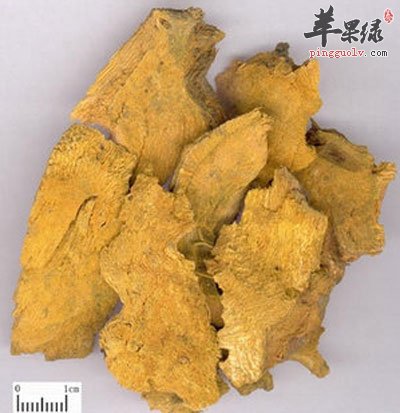 虎杖的功效与作用