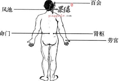 百会、风池、肾枢、命门和劳宫穴