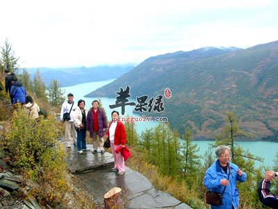 老人旅游.jpg