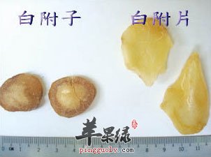 白附子的功效与作用