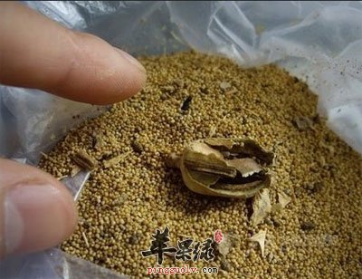 罂粟壳作调料.jpg