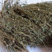 人字草的功效与作用及食用方
