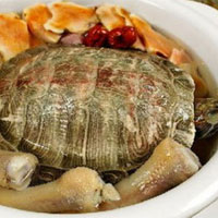 土茯苓乌龟汤：适用于疖肿成脓期