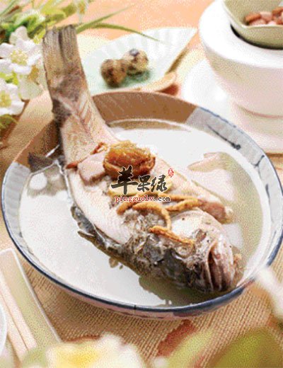 養生食譜 鱸魚600克,太子參20克,淮山30克,蜜棗15克,生薑2片,食鹽適量