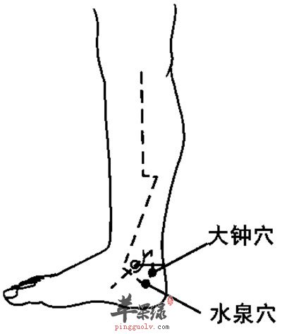 用好腎經的三要穴_蘋果綠