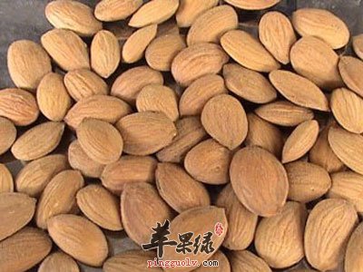 桃仁
