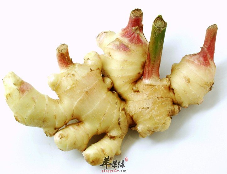 为什么说冬吃萝卜夏吃姜