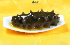 海参吃了有什么好处 促进发育增强免疫力