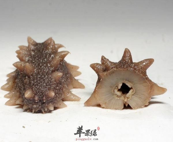 吃海参的好处有哪些