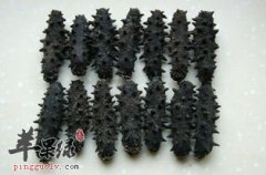海参适合哪些人吃 孕妇和产妇慎吃海参