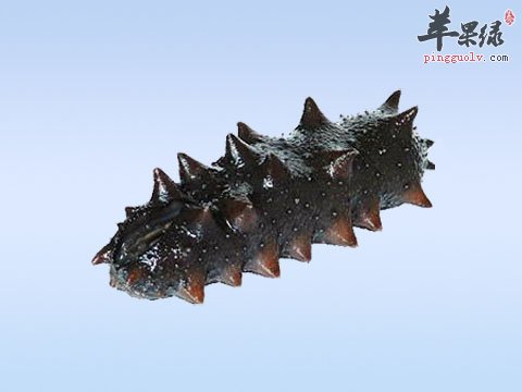 海参的做法有哪些