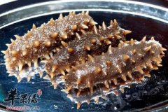 如何挑选海参