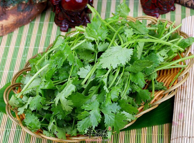 烹饪调料香菜有哪些作用 食用禁忌