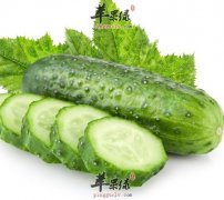 晚上吃黄瓜能减肥吗 晚上吃黄瓜减肥的注意事项